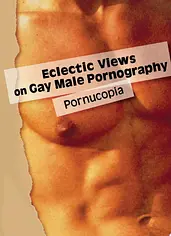 Eclectic Views on Gay Male Pornography cover image