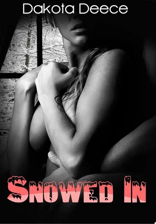 Cover image of Snowed In : Erotica Sex