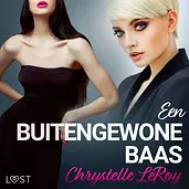 Een buitengewone baas - erotisch verhaal cover image