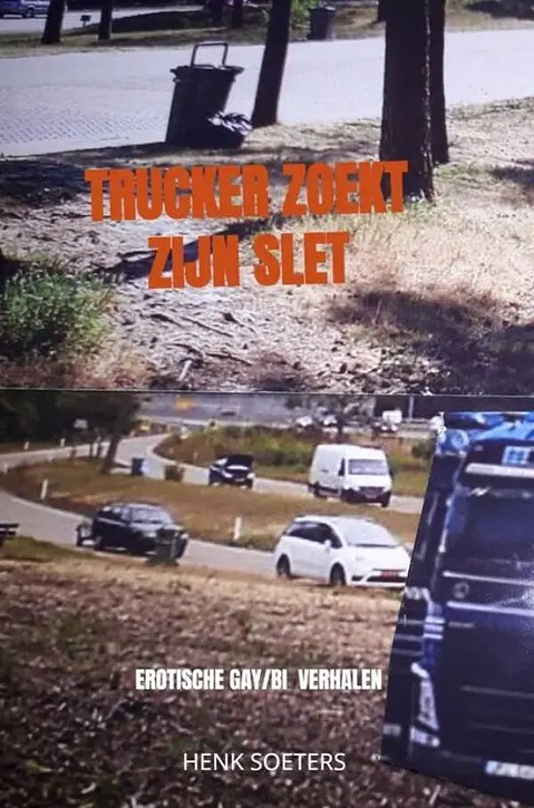 Cover image of Trucker zoekt zijn Slet