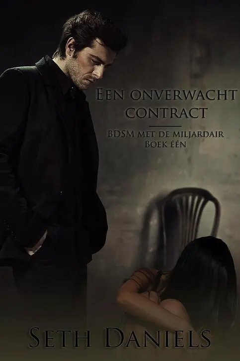Cover image of BDSM met de miljardair 1 - Een onverwacht contract