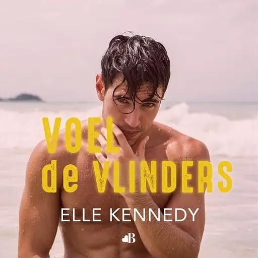 Cover image of Voel de vlinders