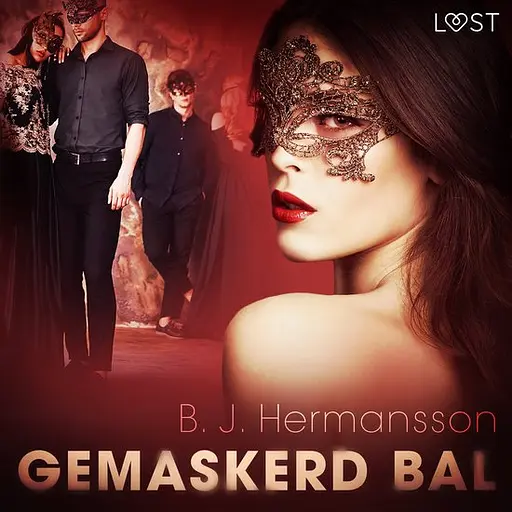 Cover image of Gemaskerd bal – erotisch verhaal