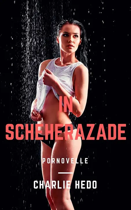 Cover image of Erotische boeken - In Scheherazade