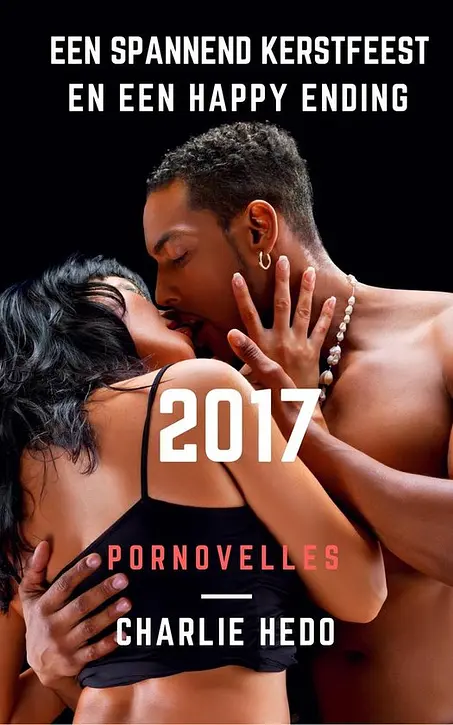 Cover image of Een Spannend Kerstfeest en een Happy Ending 2017