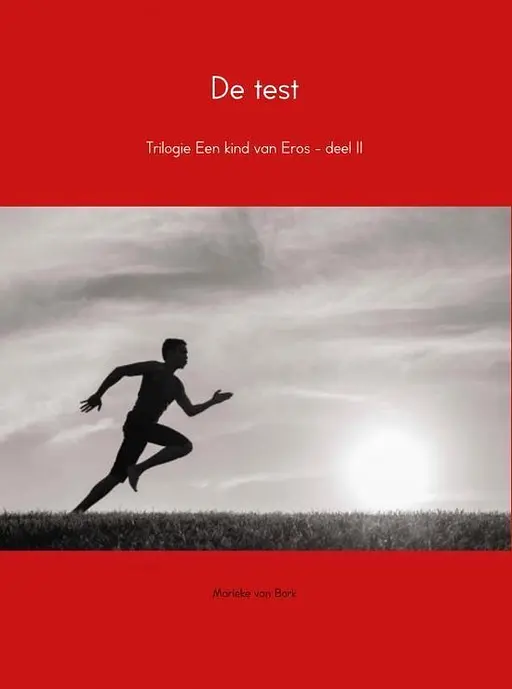 Cover image of De test