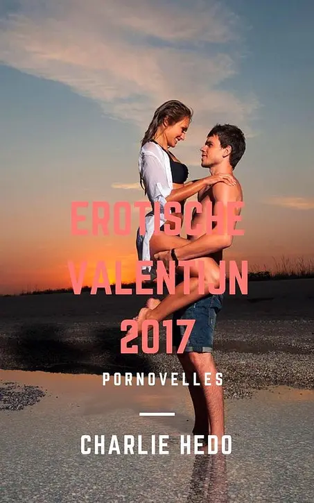 Cover image of Spannende Kerstmis en Valentijn - Erotische Valentijn 2017