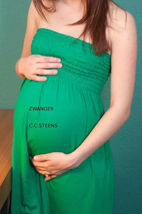 Cover image of Zwanger