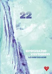 22 erotische verhalen cover image