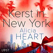 Kerst in New York - erotische verhaal cover image