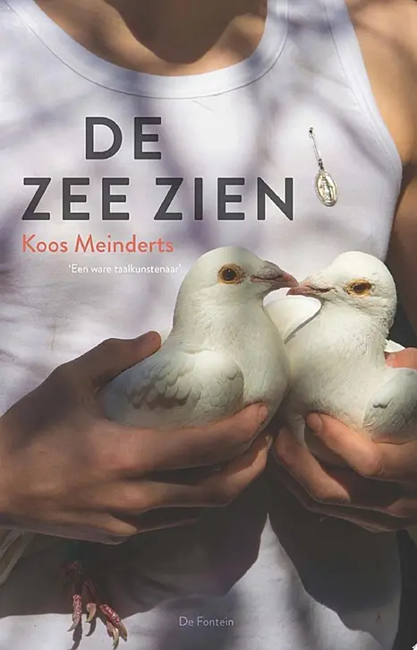 Cover image of De zee zien