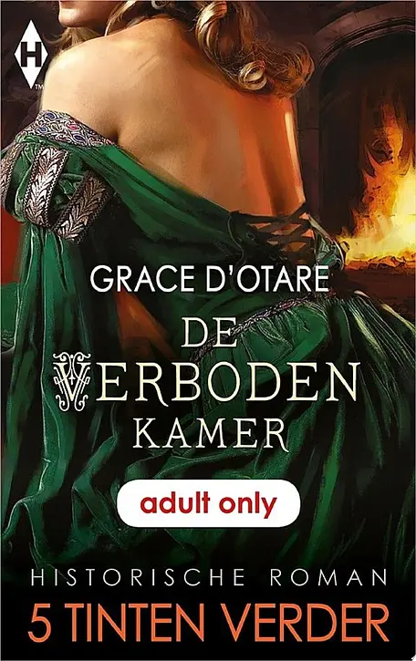 Cover image of De verboden kamer