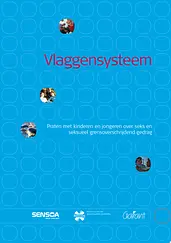 Vlaggensysteem cover image