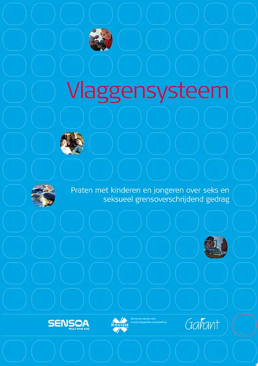 Cover image of Vlaggensysteem